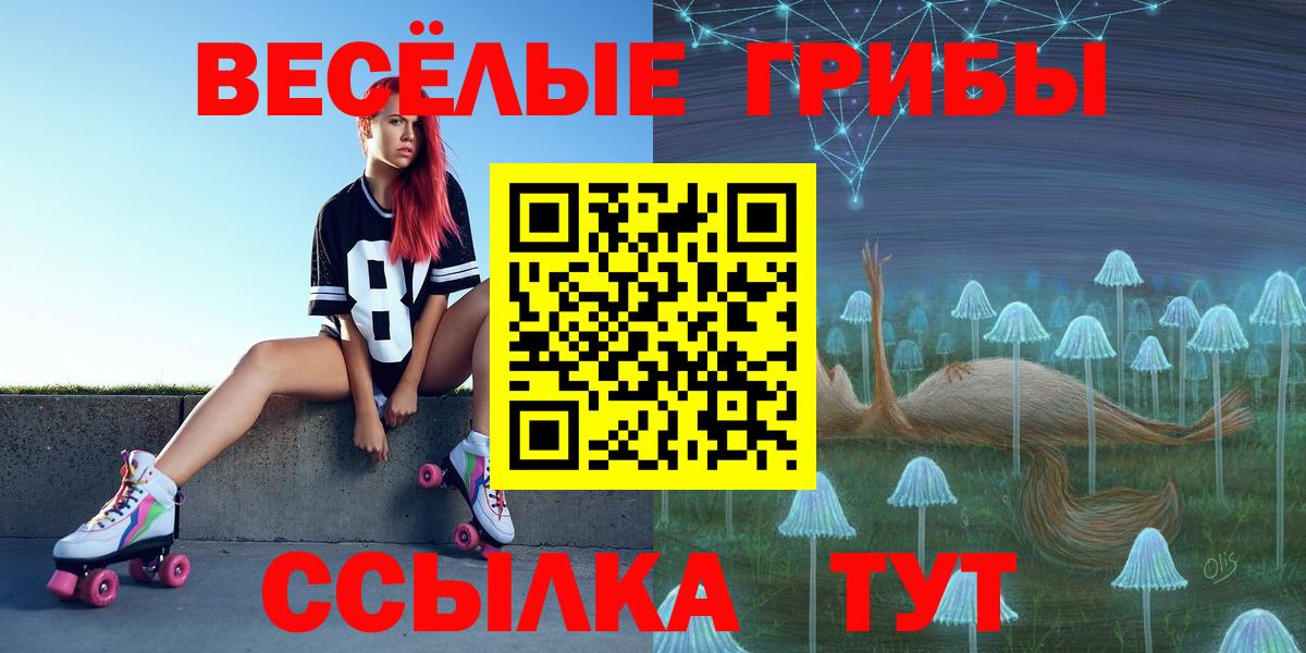купить наркотики цена  Псилоцибиновые грибы прущие грибы  Вход с VPN  Чебоксары 